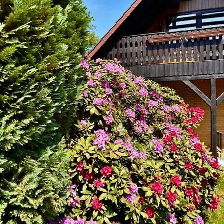 Casa vacanze Luett Heidjer Hus *