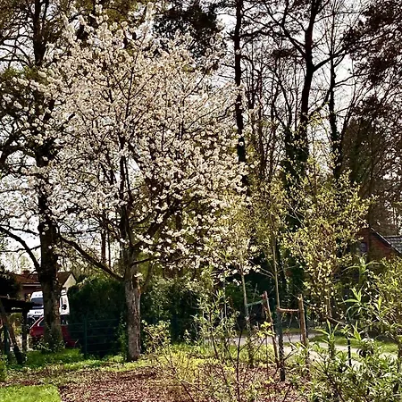 Casa vacanze Luett Heidjer Hus Buchholz in der Nordheide
